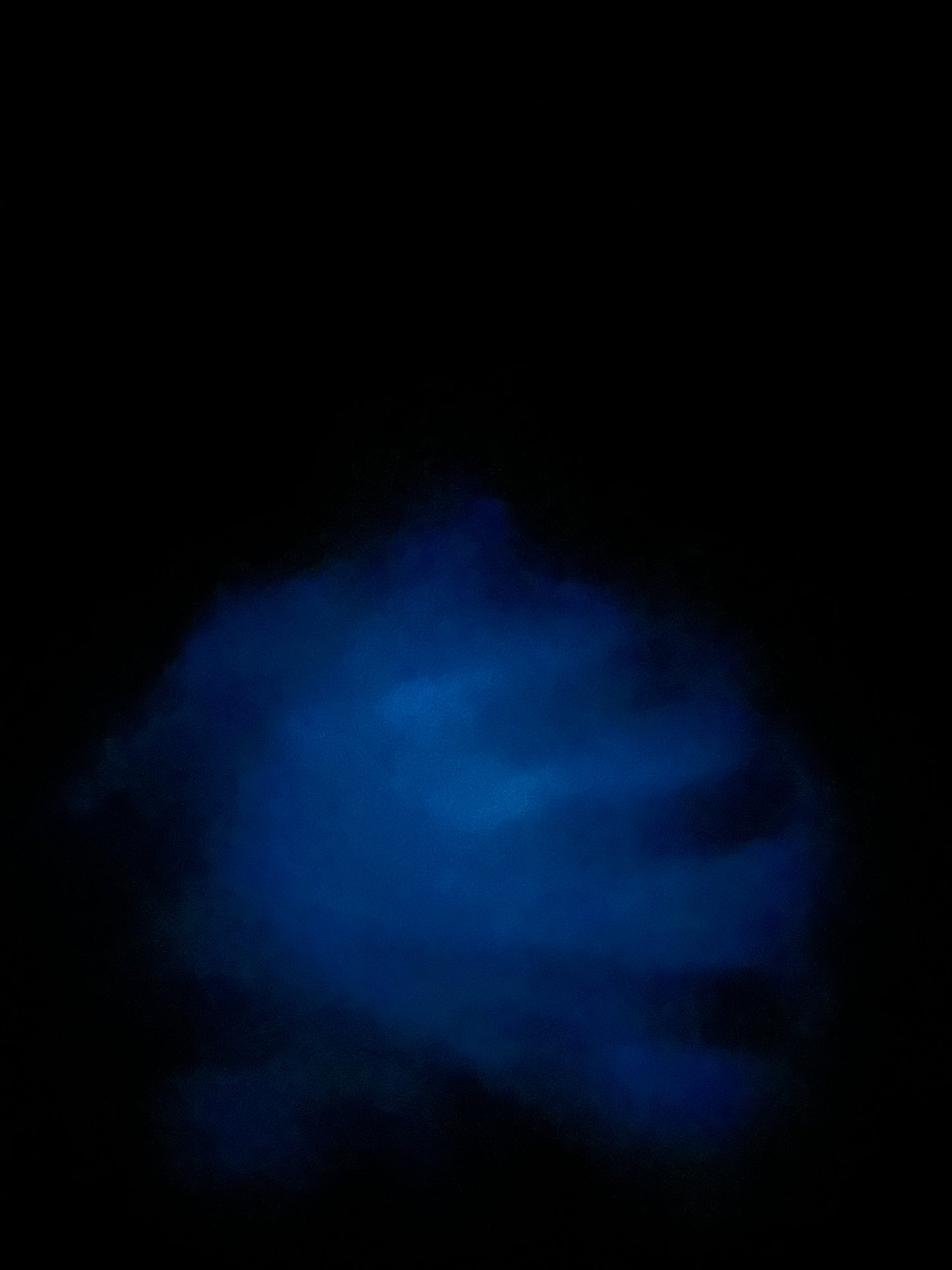 Bioluminiscencia Puerto Escondido