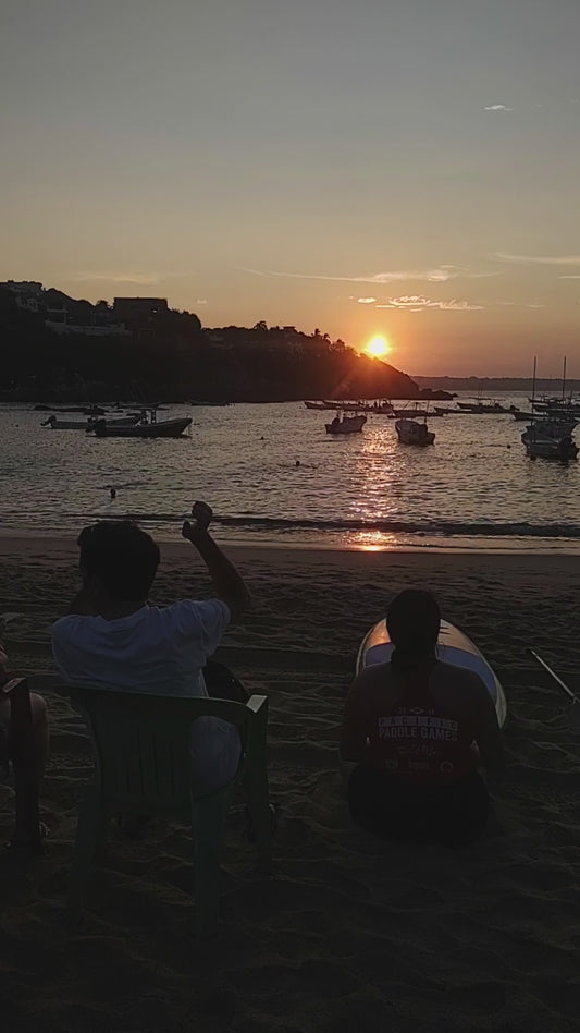 Avistamiento de Ballenas